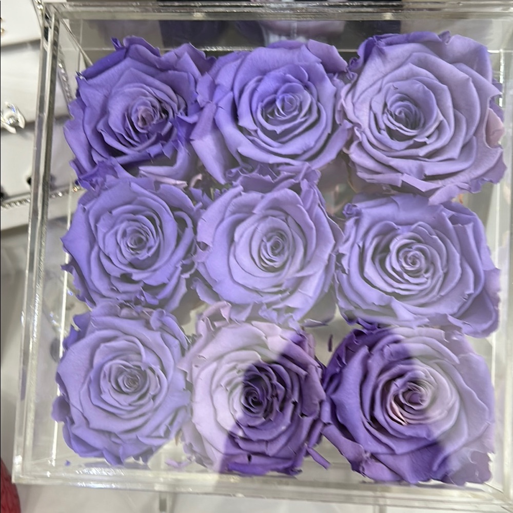 Purple Preserved Roses in Acrylic Box